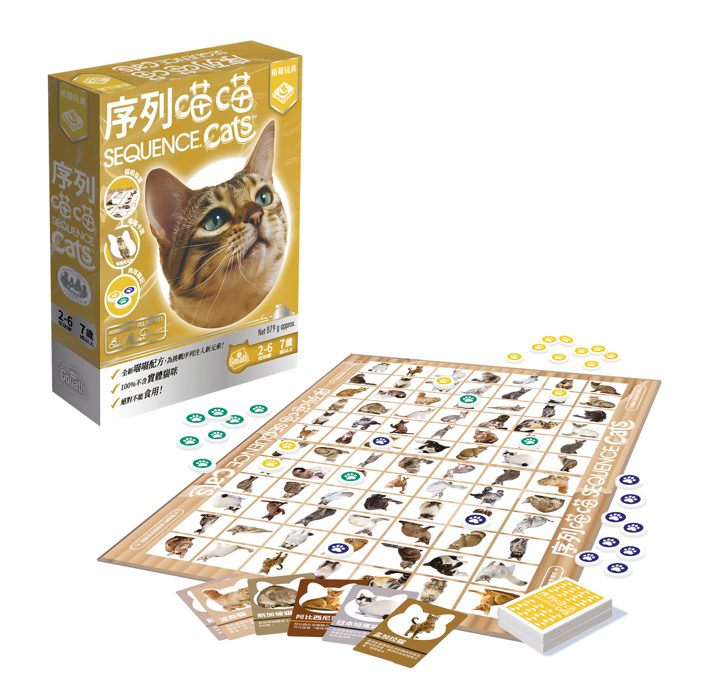 Sequence Cat/序列喵喵
