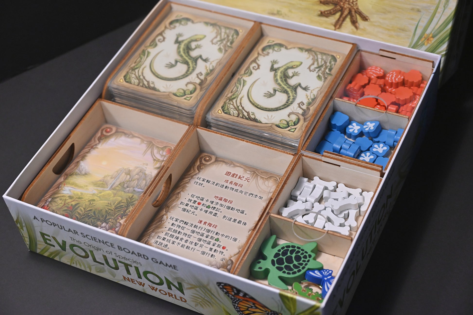 烏鴉盒子-演化：新世界 Evolution: New World 桌遊收納盒 - Boardgamefever