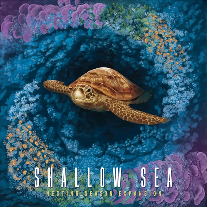 Shallow Sea